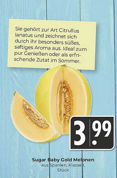 Sugar Baby Gold Melonen aus Spanien, Klasse I, Stück