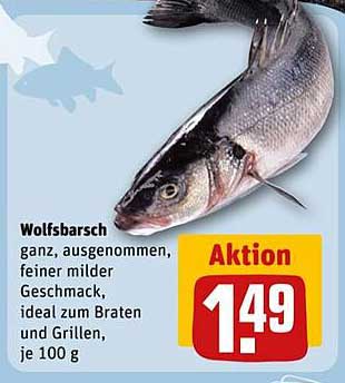 Wolfsbarsche ganz, ausgenommen, ideal zum Braten und Grillen