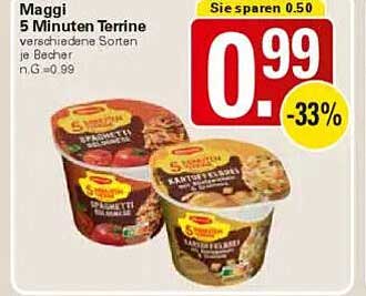 Maggi 5 Minuten Terrine verschiedene Sorten je Becher