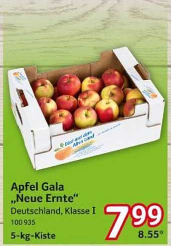 Apfel Gala „Neue Ernte“ 5-kg-Kiste