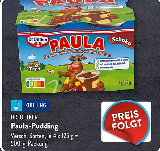 Dr. Oetker Paula-Pudding Schoko