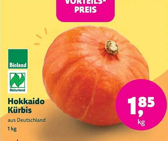 Hokkaido Kürbis aus Deutschland