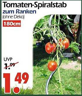 Tomaten-Spiralstab zum Ranken (ohne Deko) 180cm