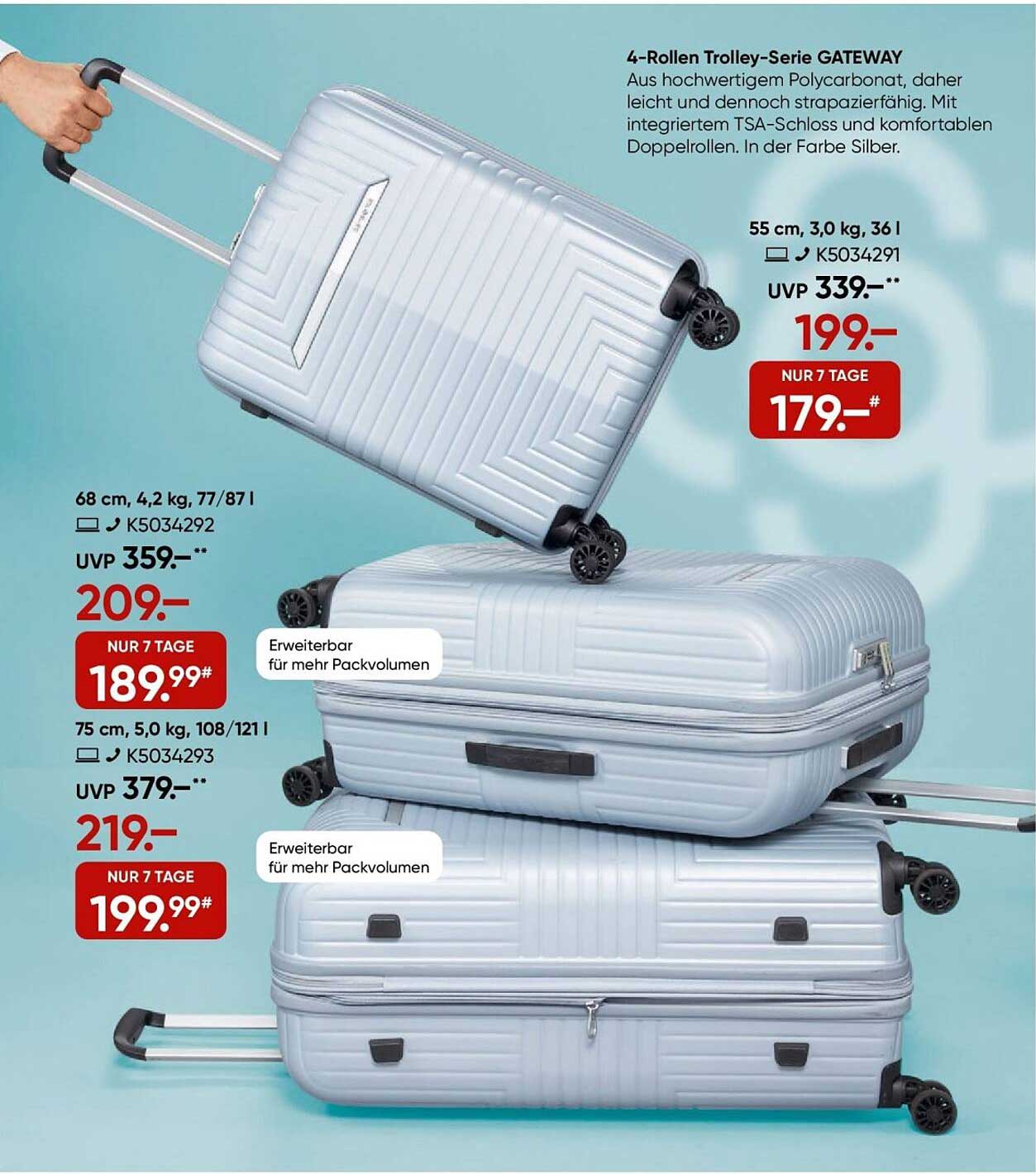 4-Rollen Trolley-Serie GATEWAY - Nur für kurze Zeit!