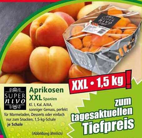Aprikosen XXL Spanien 1,5 kg