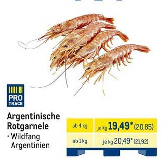 Argentinische Rotgarnele - Wildfang aus Argentinien
