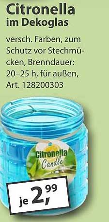 Citronella im Dekoglas