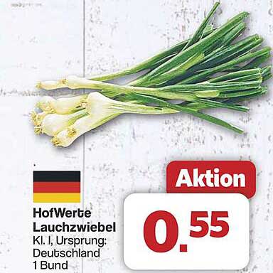 HofWerte Lauchzwiebel Kl. I, Ursprung: Deutschland 1 Bund