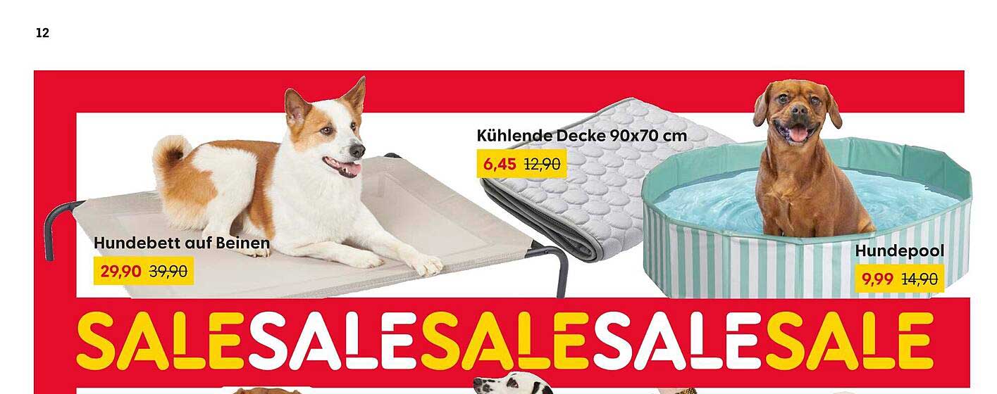 Hundeprodukte im Angebot: Kühlende Decke, Hundebett und Hundepool
