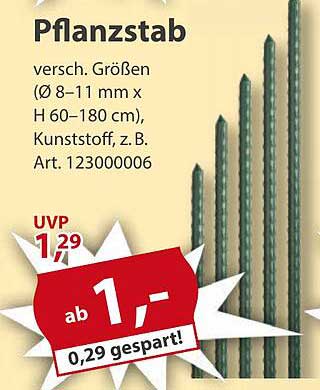 Pflanzstab - Verschiedene Größen für Ihre Gartenbedürfnisse