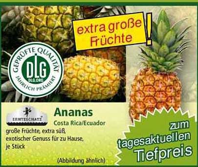 Ananas - extra große Früchte aus Costa Rica/Ecuador