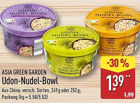 ASIA GREEN GARDEN Udon-Nudel-Bowl