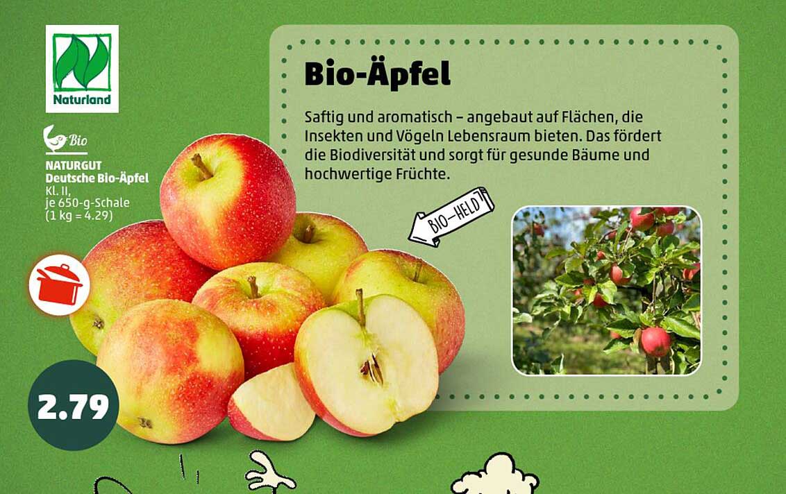 Bio-Äpfel Kl. II - 650-g-Schale