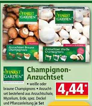 Champignon-Anzuchtset