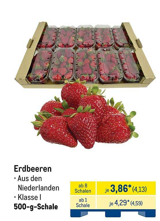 Erdbeeren aus den Niederlanden - Klasse I, 500-g-Schale