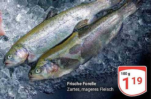 Frische Forelle - Zartes, mageres Fleisch