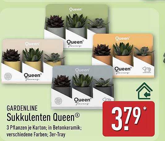 GARDENLINE Sukkulenten Queen® - 3 Pflanzen im 3er-Tray