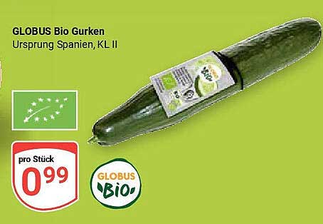 GLOBUS Bio Gurken – Ursprung Spanien, KL II