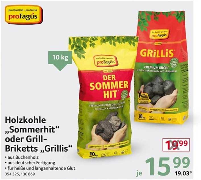 Holzkohle "Sommerhit" oder Grill-Briketts "Grillis"