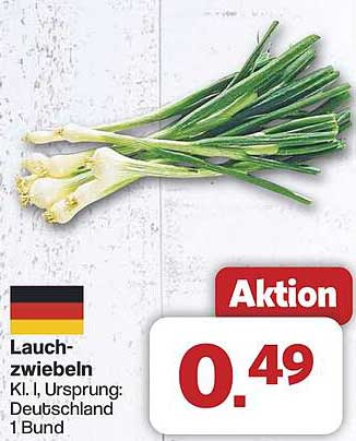 Lauchzwiebeln - frisch und knackig aus Deutschland