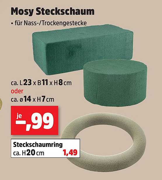 Mosch Steckschwamm für Nass-/Trockenstecke