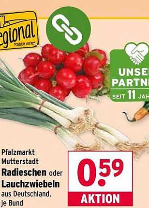 Radieschen oder Lauchzwiebeln aus Deutschland, je Bund