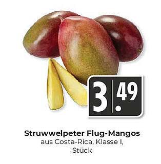 Struwwelpeter Flug-Mangos aus Costa Rica, Klasse I, Stück
