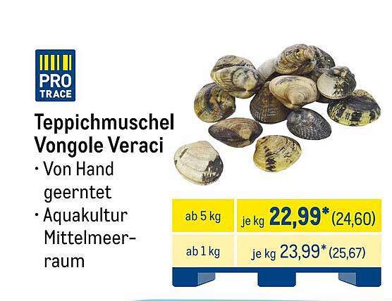 Teppichmuschel Vongole Veraci