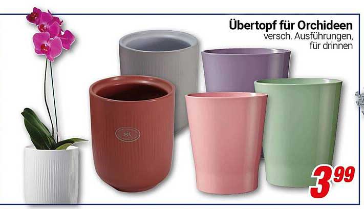 Übertöpfe für Orchideen - verschiedene Ausführungen, für drinnen