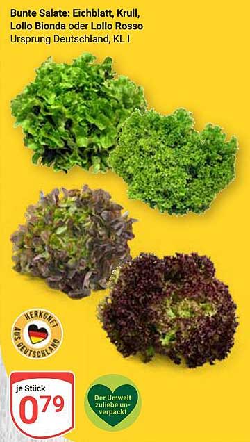 Bunte Salate: Eichblatt, Krull, Lollo Bionda oder Lollo Rosso
