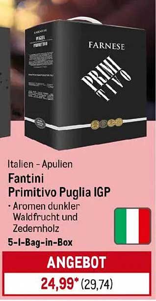 Fantini Primitivo Puglia IGP - 5l Bag-in-Box
