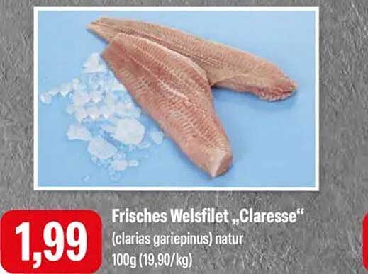 Frisches Welsfilet „Claresse“ (clarias gariepinus) natur