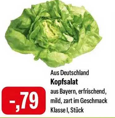 Kopfsalat aus Deutschland – frisch und knackig
