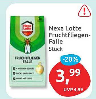 Nexa Lotte Fruchtfliegen-Falle Stück