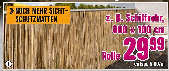 Sichtschutzmatte aus Schilfrohr, 600 x 100 cm