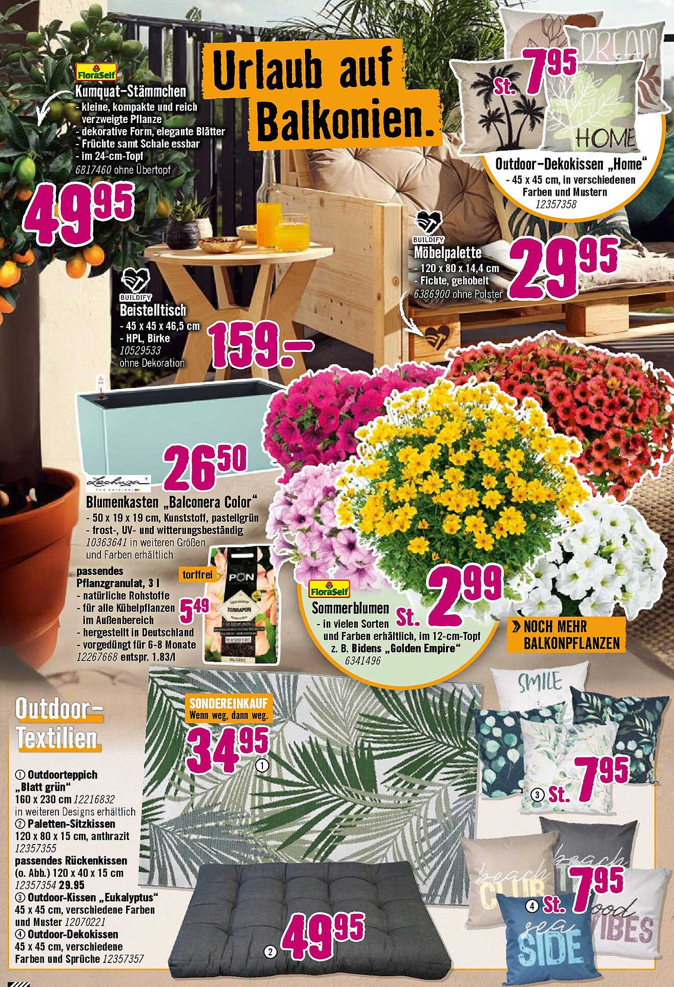 Sommerblumen im 12-cm-Topf für nur 2,99 €