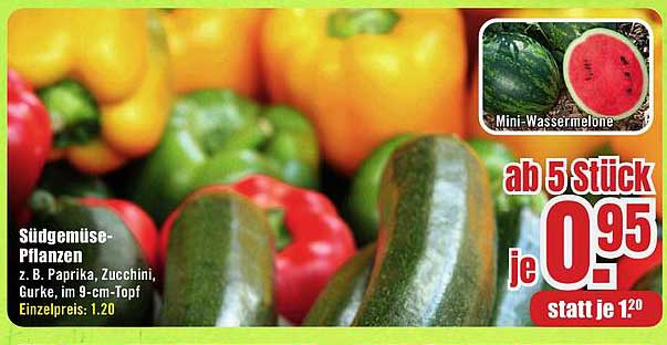 Südgemüse-Pflanzen z. B. Paprika, Zucchini, Gurke, im 9-cm-Topf ab 5 Stück je 0,95 statt je 1,20