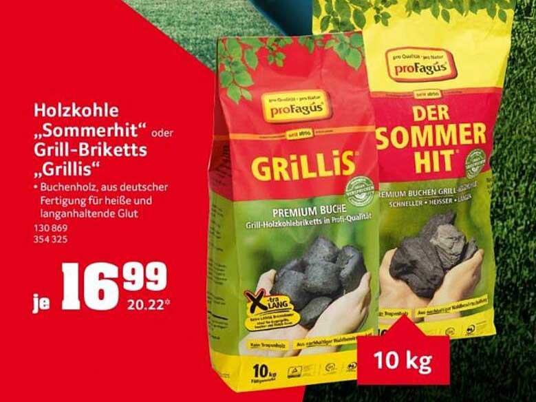 Holzkohle „Sommerhit“ oder Grill-Briketts „Grillis“