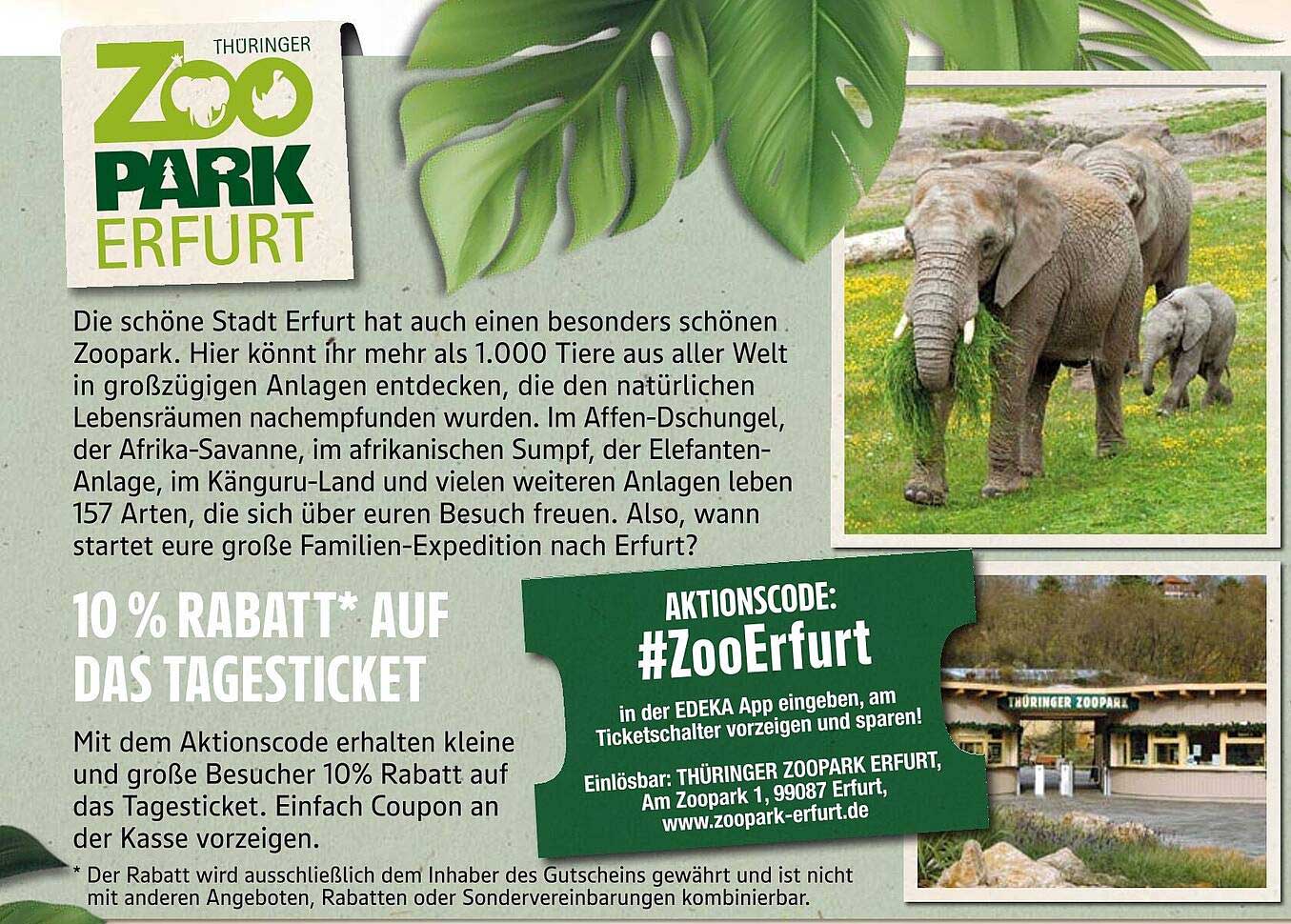 10 % Rabatt auf das Tagesticket im Thüringer Zoopark Erfurt