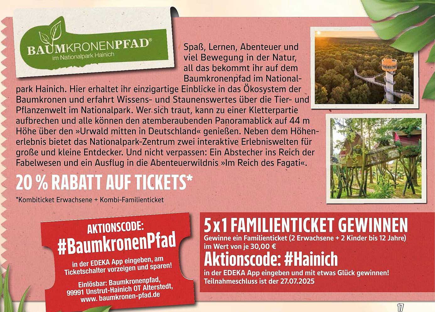 20 % Rabatt auf Tickets für den Baumkronenpfad im Nationalpark Hainich