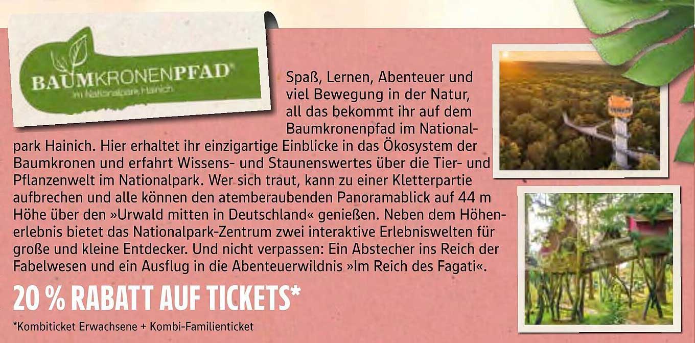 20 % Rabatt auf Tickets für den Baumkronenpfad im Nationalpark Hainich