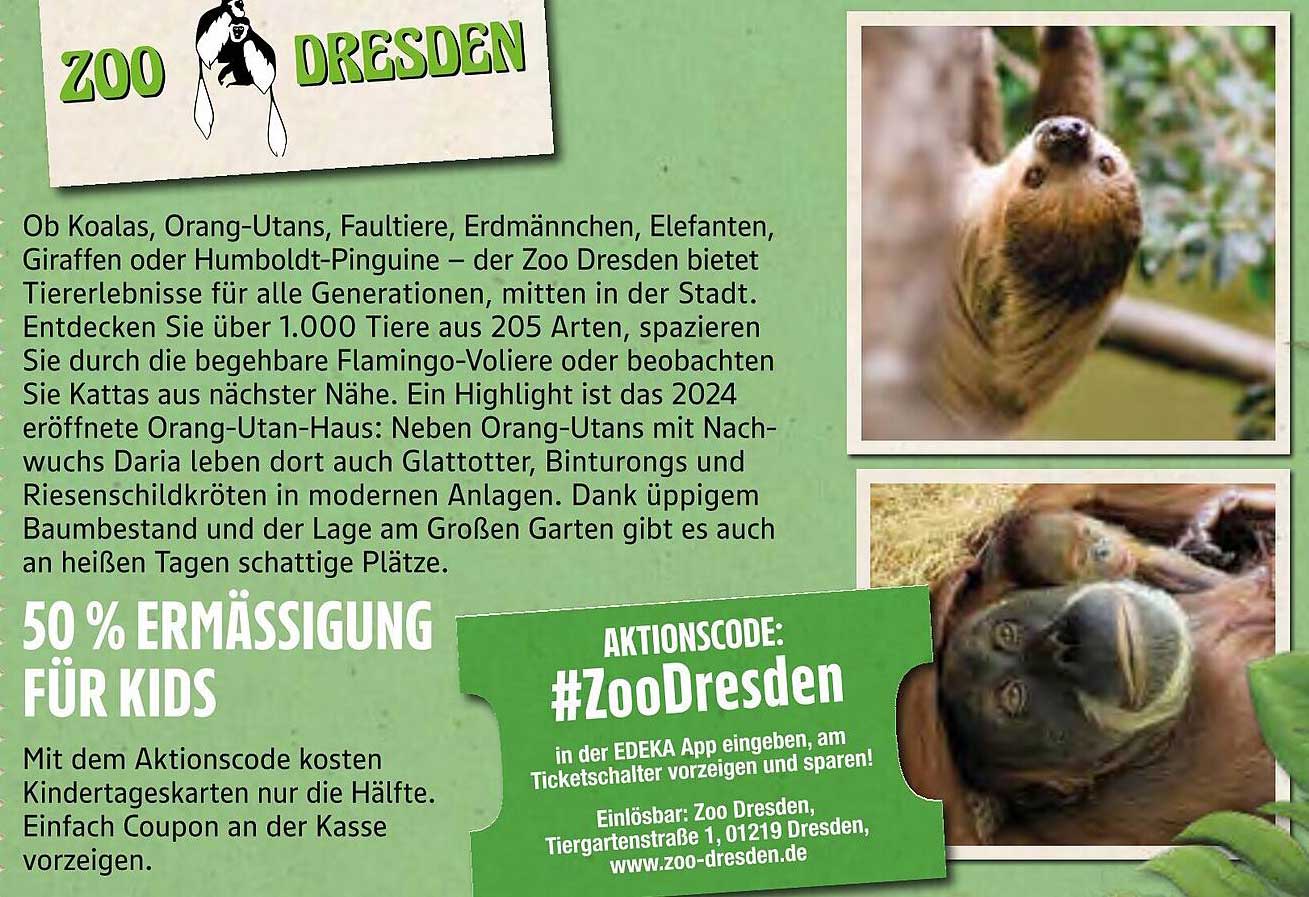 50 % Ermäßigung für Kids im Zoo Dresden