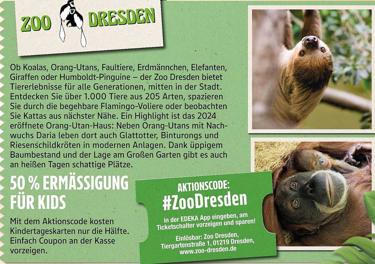 50 % Ermäßigung für Kids im Zoo Dresden