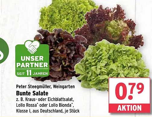 Bunte Salate von Peter Steegmüller