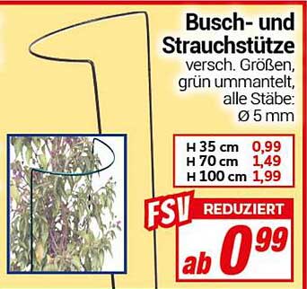 Busch- und Strauchstützen in verschiedenen Größen, grün ummantelt