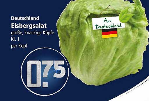 Eisbergsalat – Große, knackige Köpfe Kl. 1 per Kopf