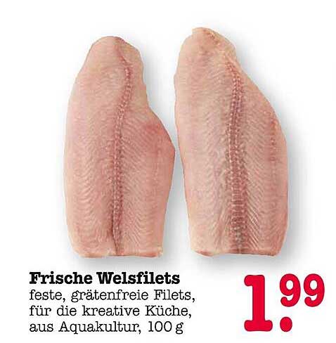 Frische Welsfilets - feste, grätenfreie Filets, für die kreative Küche