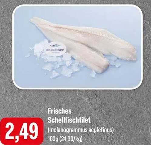 Frisches Schellfischfilet (melanogrammus aeglefinus)