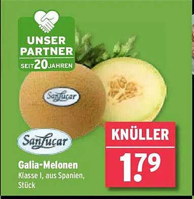 Galia-Melonen Klasse I, aus Spanien, Stück