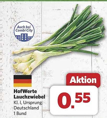 HofWerte Lauchzwiebel